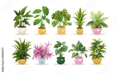 Papier peint  Set of trendy potted plants for home. Different indoor houseplants isolated on white background. Alocasia, begonia, fan palm, monstera, ficus, strelitzia and oxalis. Colored flat vector
