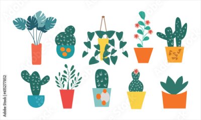 Papier peint  Set of trendy potted plants for home. Different indoor houseplants isolated on white background. Alocasia, begonia, fan palm, monstera, ficus, strelitzia and oxalis. Colored flat vector illustration