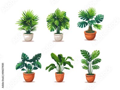 Papier peint  Set of trendy potted plants for home. Different indoor houseplants isolated on white background. Alocasia, begonia, fan palm, monstera, ficus, strelitzia and oxalis. Colored flat vector illustration