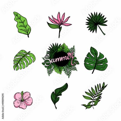 Papier peint  Set of tropical elements of tropical strelitzia flower, hibiscus, monster leaves, banana leaves, etc. Hand-drawn doodle-style elements, bright flowers and greenery. Composition lettering of summer.