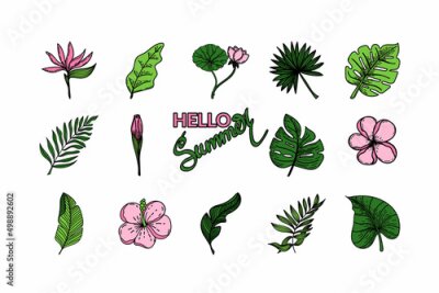 Papier peint  Set of tropical elements of tropical strelitzia flower, monster leaves, banana leaves, lotus. Hand-drawn doodle-style elements, bright flowers and greenery. Hello summer, hand-drawn. Tropics. Summer.