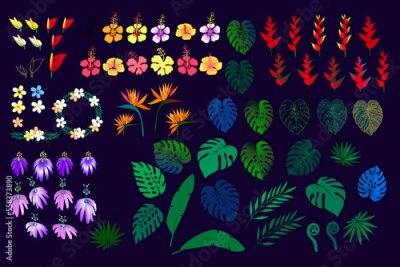 Papier peint  Set of Tropical leaves and flower. Plant Monstera, palm, fern leaves. Floral Plumeria, Strelitzia, Heliconia, Hibiscus, Passion fruit hand drawn vector illustration