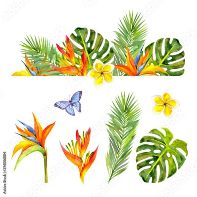 Papier peint  Set of tropical watercolor flowers and leaves (strelitzia, heliconia, plumeria, palm leaf, monstera, butterfly). Border of watercolor leaves and flowers.