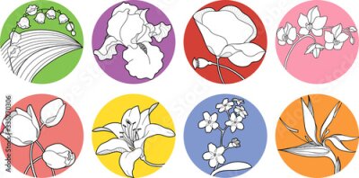 Papier peint  set of vector spring blossom, wildflower, iris, orchid, forget-me-not, strelitzia, may-lily, lily, poppy, tulip