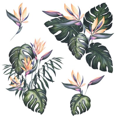 Papier peint  Set of Watercolor Bouquets with Strelitzia