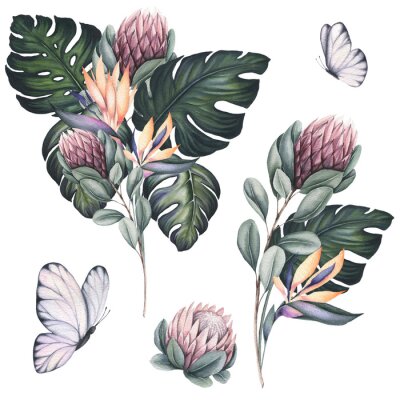 Papier peint  Set of Watercolor Bouquets with Strelitzia and Protea Flowers