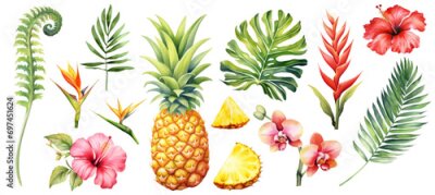 Papier peint  Set of watercolor elements vector Illustration , isolated on white background. Pineapple, strelitzia, hibiscus, monstera, tropical leaves.