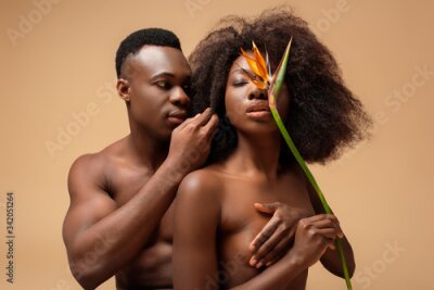 Papier peint  sexy naked african american couple posing with Strelitzia flower isolated on beige