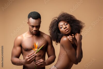 Papier peint  sexy naked african american couple posing with Strelitzia flower on beige