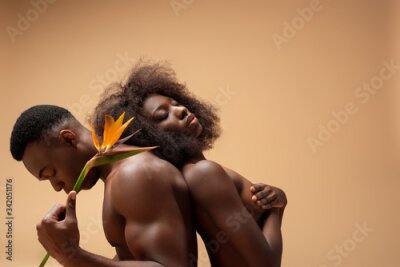 Papier peint  sexy naked african american couple posing with Strelitzia flower on beige