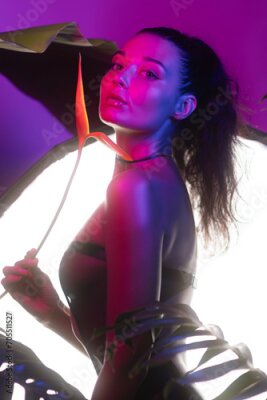 Papier peint  Sexy young girl model dressed in a black sexy underwear illuminated by purple and blue LED neon lights and octabox, posing with Strelitzia reginae Bird Of Paradise Flower. Fine art creative studio