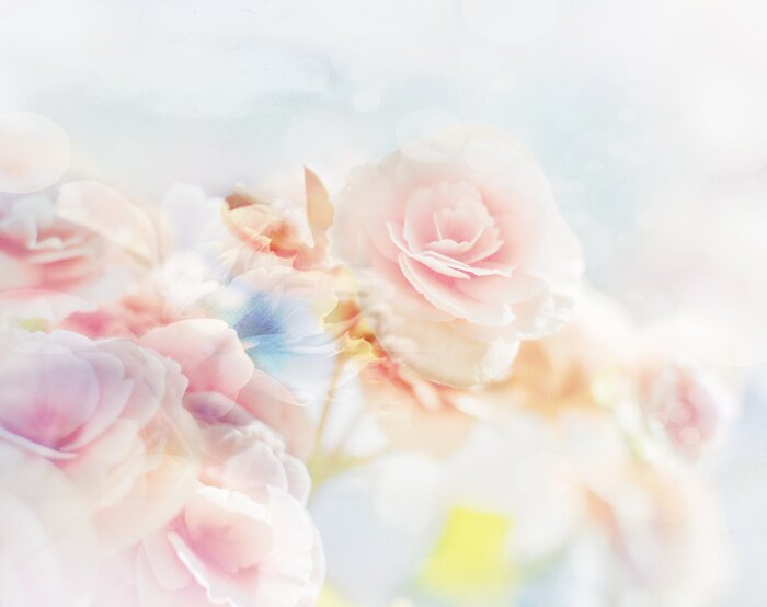 Papier peint  Shabby chic roses pastels