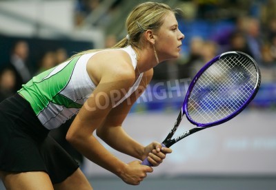 Papier peint  Sharapova avant un match de tennis
