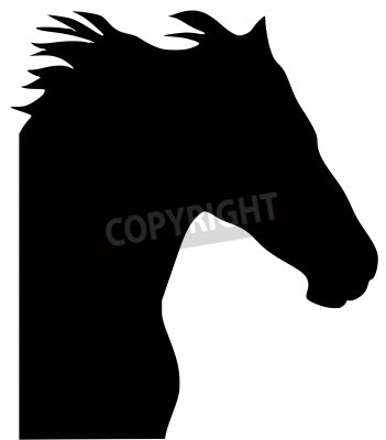 Papier peint  Silhouette de cheval noir et blanc