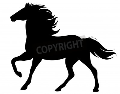 Papier peint  Silhouette de cheval sur fond blanc
