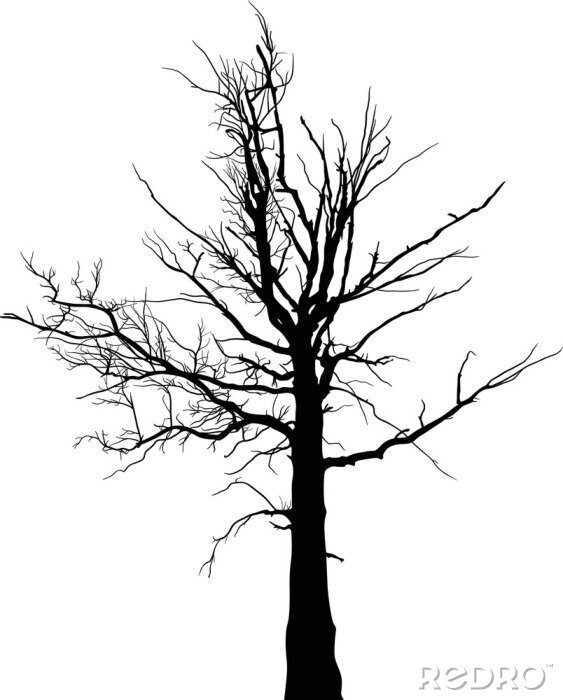 Papier peint  Silhouette noire d'un arbre sur fond blanc