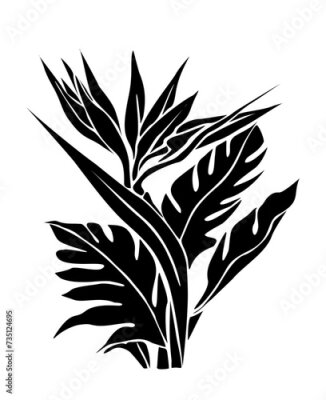 Papier peint  Silhouette of Strelitzia, Bird of Paradise flower. Tropic outline floral illustration. Exotic botanical black outline drawing. Vector monochrome design for logo, tattoo, wall art, packaging isolated.