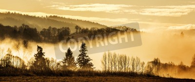 Papier peint  Silhouettes d'arbres sur une brume jaune
