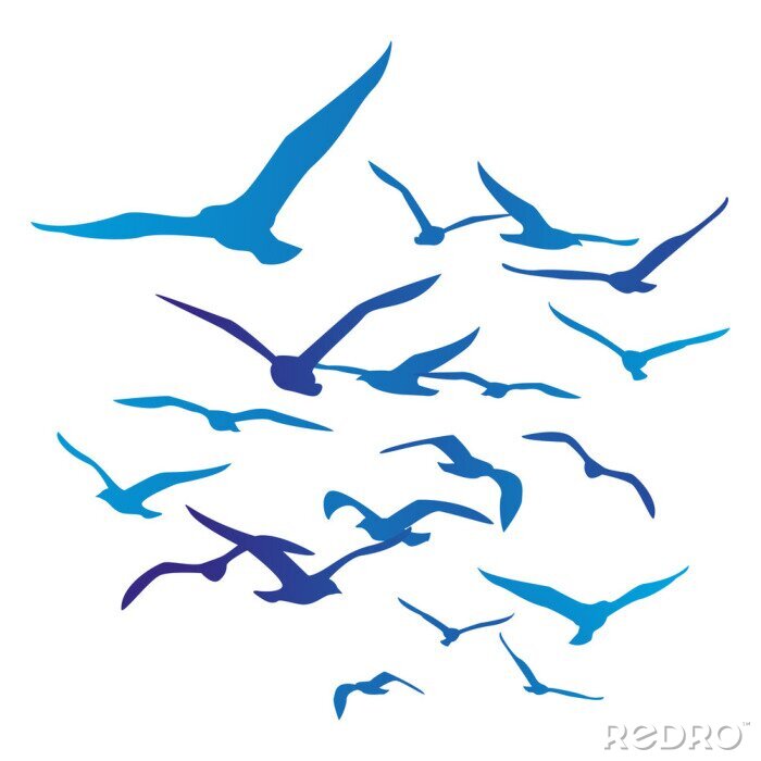Papier peint  Silhouettes d'oiseaux bleus