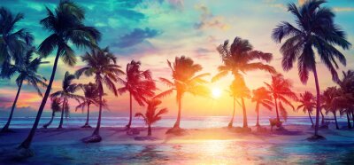 Silhouettes de palmiers sur la plage tropicale au coucher du soleil - couleurs vintage modernes