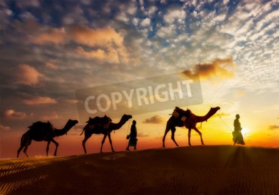 Papier peint  Silhouettes de personnes et de chameaux dans le désert