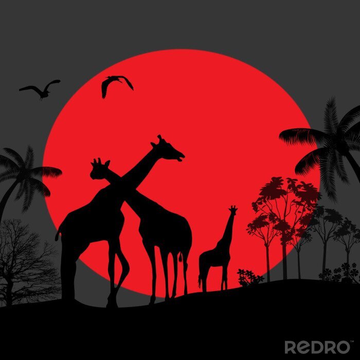 Papier peint  Silhouettes sombres animaux sous la lune