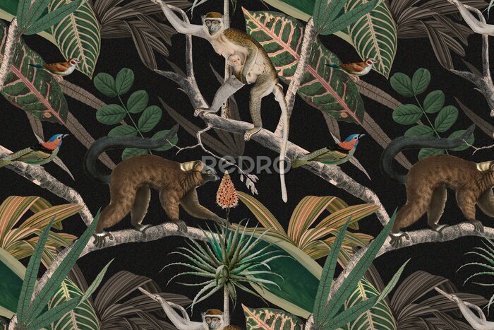 Papier peint  Singes sauvages au milieu de plantes dans la jungle