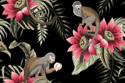 Singes sur des fleurs de lotus