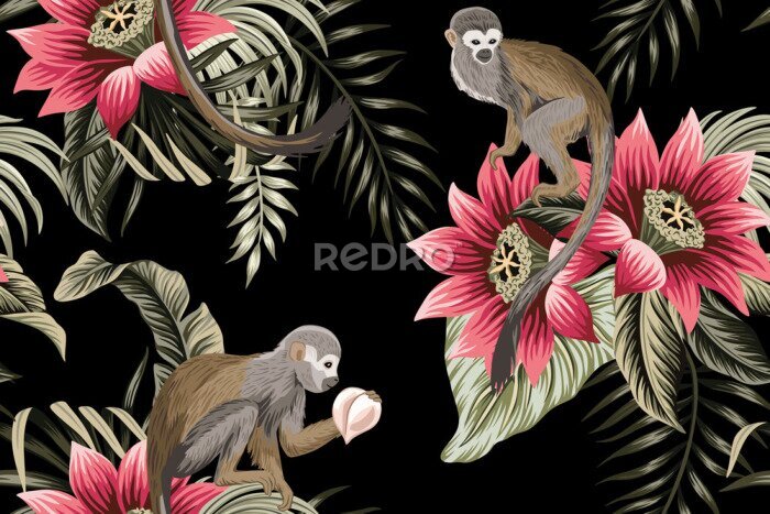 Papier peint  Singes sur des fleurs de lotus