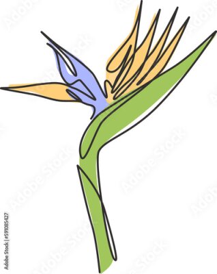 Papier peint  Single continuous line drawing of beauty fresh strelitzia for home wall decor art poster print. Decorative bird of paradise flower for invitation card. Modern one line draw design vector illustration