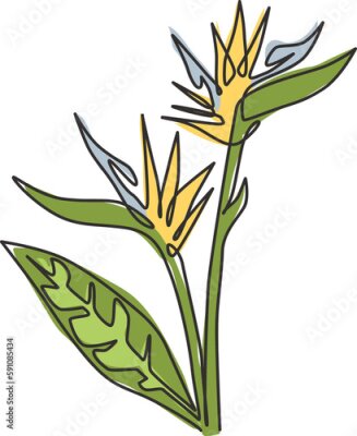 Papier peint  Single one line drawing beauty fresh strelitzia for garden logo. Decorative bird of paradise flower concept for home wall decor art poster print. Modern continuous line draw design vector illustration