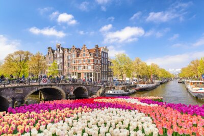 Skyline de la ville d'Amsterdam au bord de l'eau du canal avec fleur de tulipe de printemps, Amsterdam, Pays-Bas