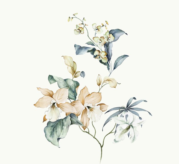 Papier peint  Slaperige orchidee in wit met blauw blad