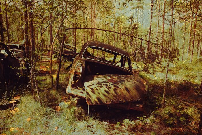 Papier peint  Sleeping Beauties