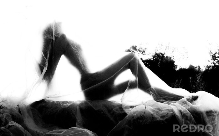 Papier peint  Slender nude girl, covered by a cellophane film, through which only her silhouette is visible and her nakedness is covered, in the ruins of a destroyed building. Conceptual, artistic, creative design.