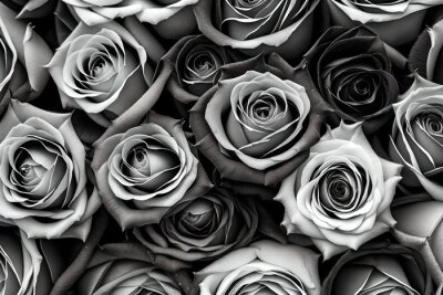 Papier peint  small red black pink blue and white roses full frame background also used in decoration and cards 