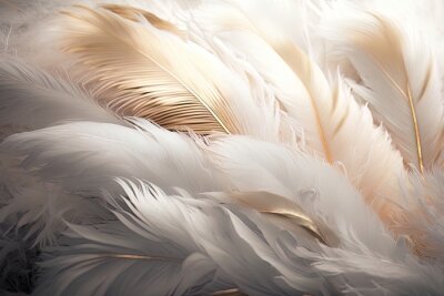 Papier peint  Soft and fluffy background, bird feathers, white and gold pastel colored feathers. AI