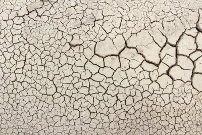 Papier peint  Sol sec