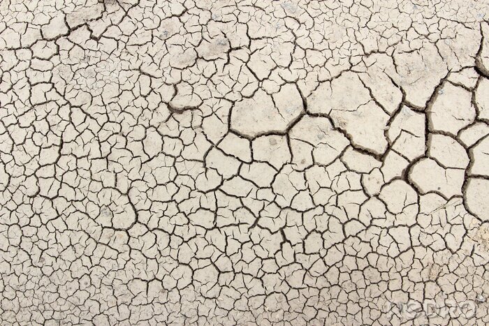 Papier peint  Sol sec