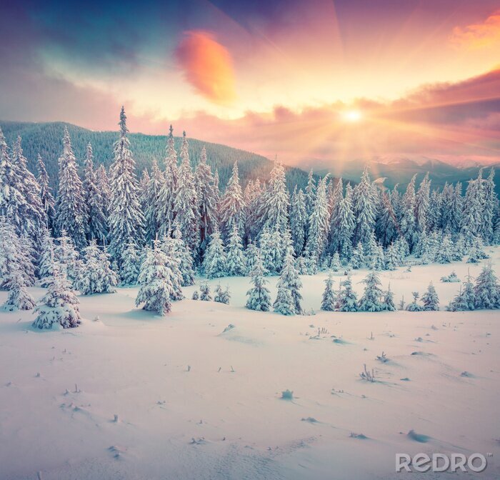 Papier peint  Soleil dans les montagnes en hiver