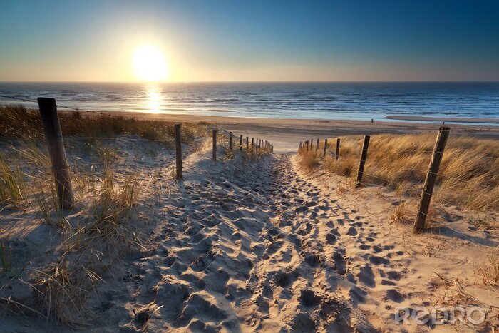 Papier peint  Soleil sur le chemin de la plage dans la mer du Nord