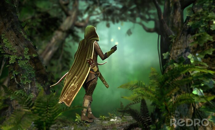 Papier peint  Sorcier dans une forêt fantastique