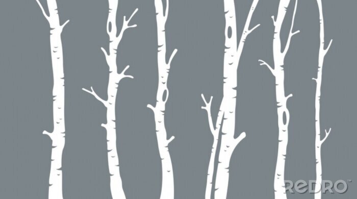 Papier peint  Souches de bouleau sur fond gris