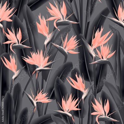 Papier peint  South African plant tropical blossom of crane flower, strelitzia. Floral textile print.