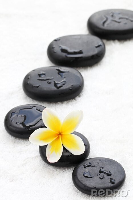 Papier peint  Spa encore la vie