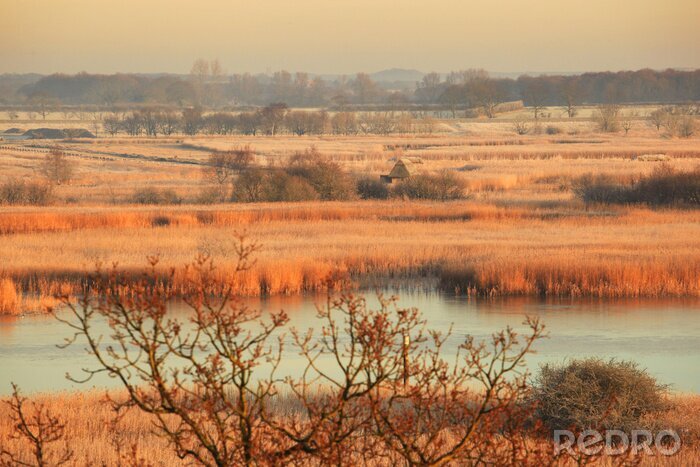 Papier peint  Spécial nature