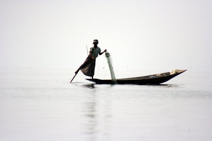 Papier peint  Sport motif subtil