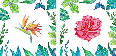 Papier peint  Spring illustration green leaves frame with set flowers rose and strelitzia on white isolated background.