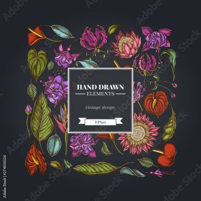Papier peint  Square floral design on dark background with african daisies, fuchsia, gloriosa, king protea, anthurium, strelitzia