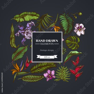 Papier peint  Square floral design on dark background with monstera, banana palm leaves, strelitzia, heliconia, tropical palm leaves, orchid